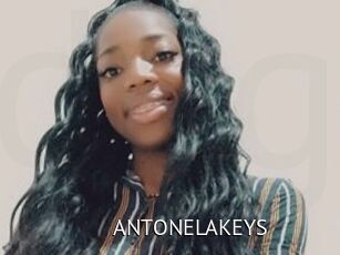 ANTONELAKEYS