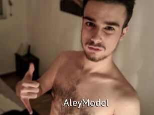 AleyModel