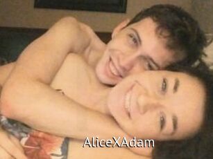 Alice_X_Adam