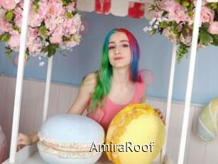 AmiraRoof