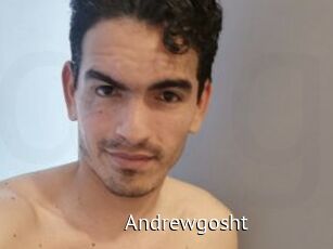 Andrewgosht