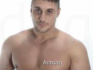 Antoan