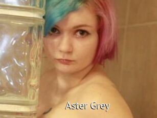 Aster_Grey