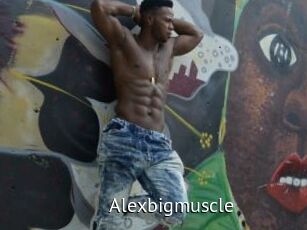 Alexbigmuscle