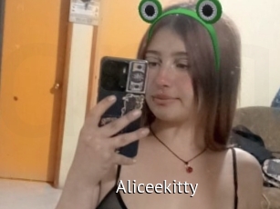 Aliceekitty