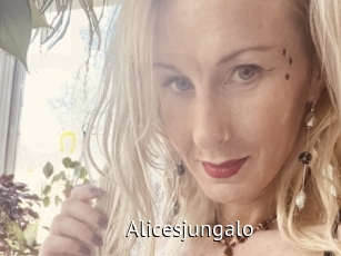 Alicesjungalo