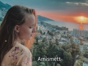 Amismett