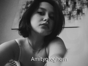 Amitygleghorn