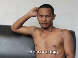 Anacondabig