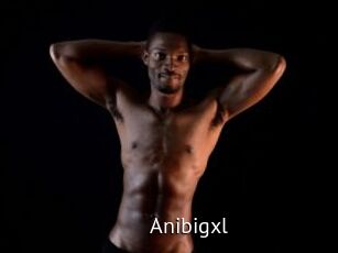 Anibigxl