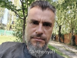 Anthonyalf