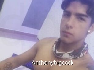 Anthonybigcock