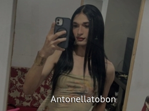 Antonellatobon