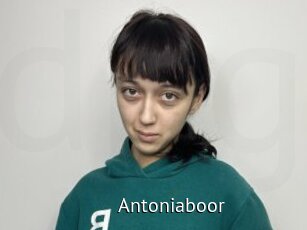 Antoniaboor