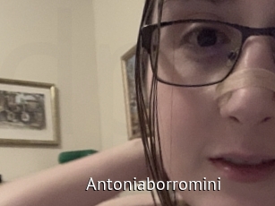 Antoniaborromini