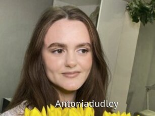 Antoniadudley