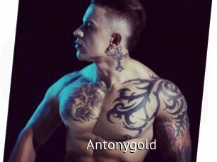 Antonygold