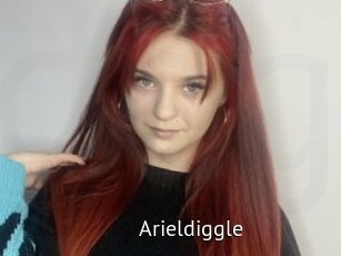 Arieldiggle