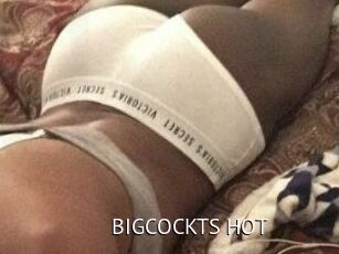 BIGCOCKTS_HOT