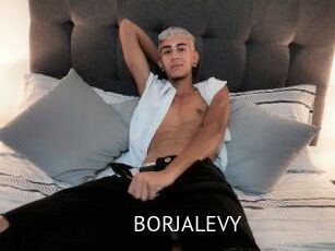 BORJALEVY