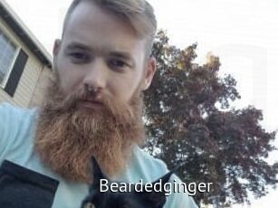 Beardedginger