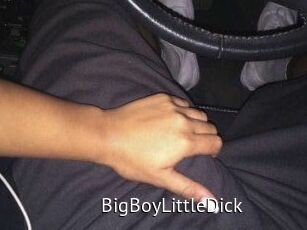 BigBoyLittleDick