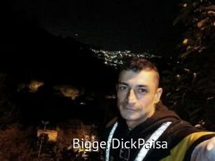 BiggerDickPaisa