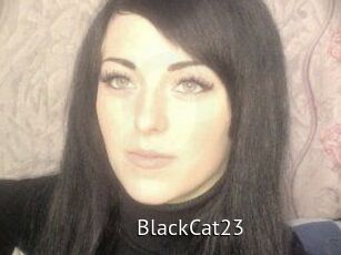 BlackCat23