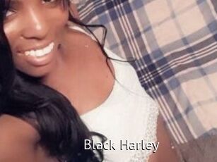 Black_Harley