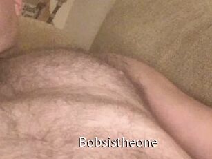 Bobsistheone