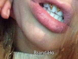 BrandiHo