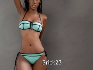 Brick23