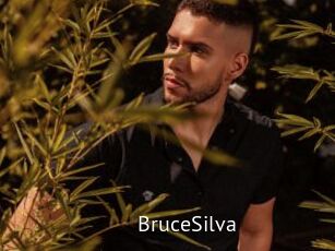 BruceSilva