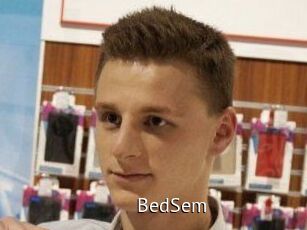 BedSem