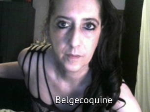 Belgecoquine