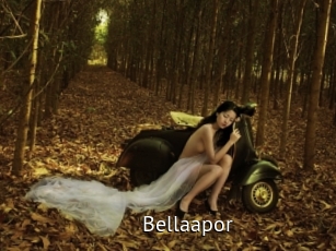 Bellaapor