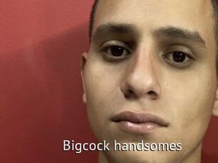 Bigcock_handsomes