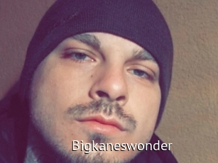 Bigkaneswonder