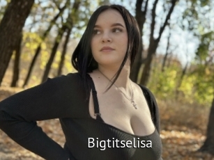 Bigtitselisa