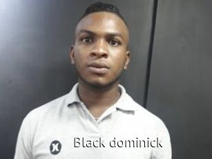 Black_dominick