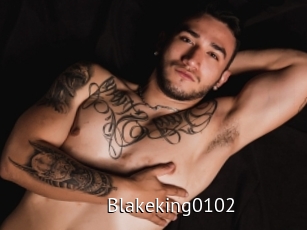 Blakeking0102