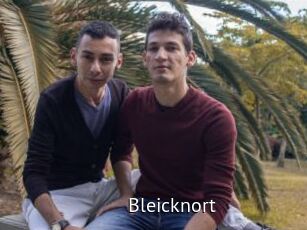 Bleicknort