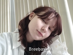 Breebaskett