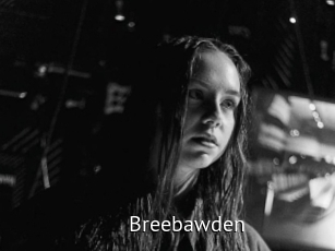 Breebawden