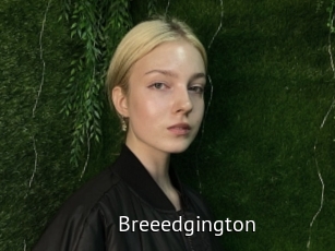 Breeedgington