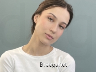 Breeganet