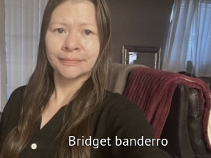 Bridget_banderro