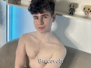 Brucevolt