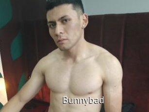 Bunnybad