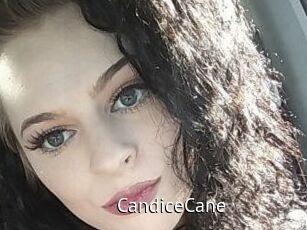 Candice_Cane